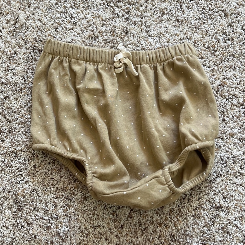 Jamie Kay fern dot shorts sz.2 NWOT